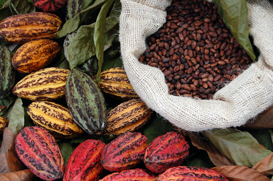 Cacao Varieties – Not a simple question!