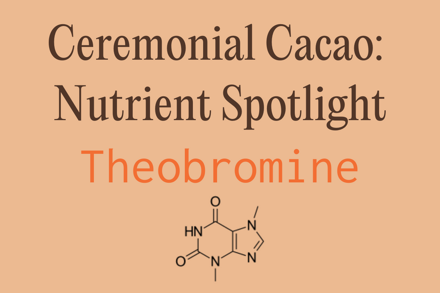 Nutrient Spotlight: Theobromine In Cacao
