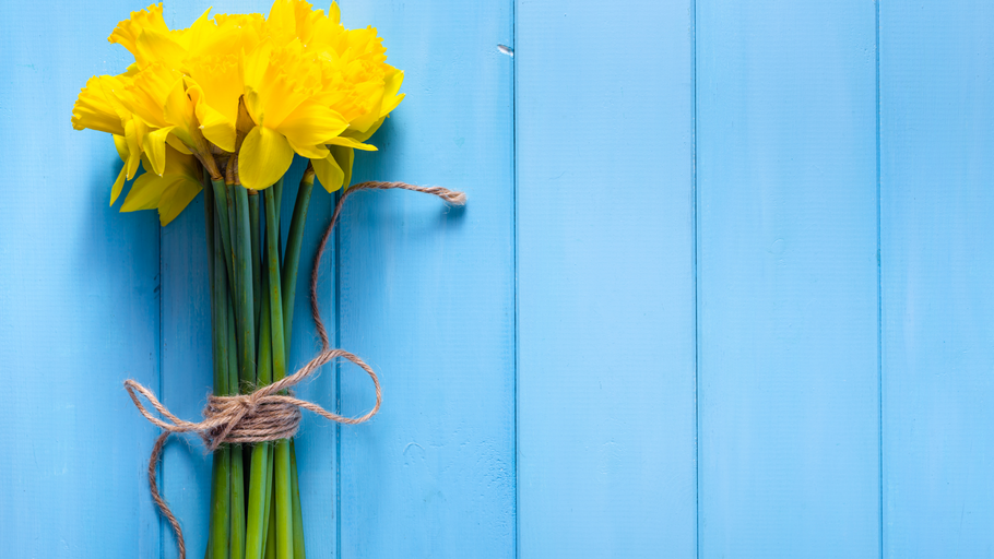 Celebrating the Spring Equinox
