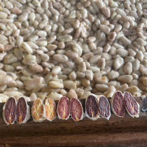 Ceremonial Cacao, Organic, 100% Piura Blanco, Peru, 5lb Flakes